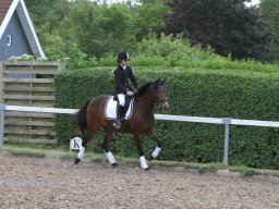 IMG_4820_web